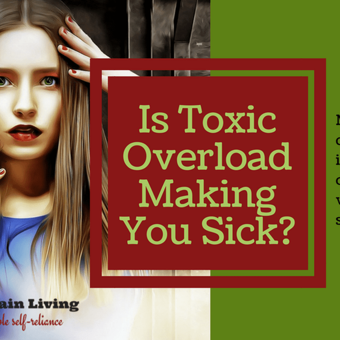 Are You Suffering from Toxic Overload and Multiple Chemical Sensitivity?