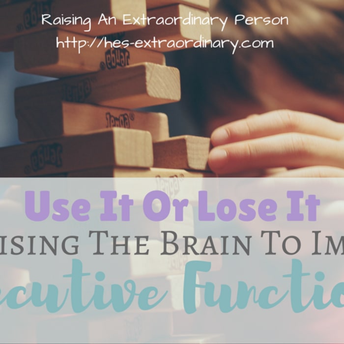 Executive Functions: What They Are, and Exercises to Strengthen Them · Raising An Extraordinary Person