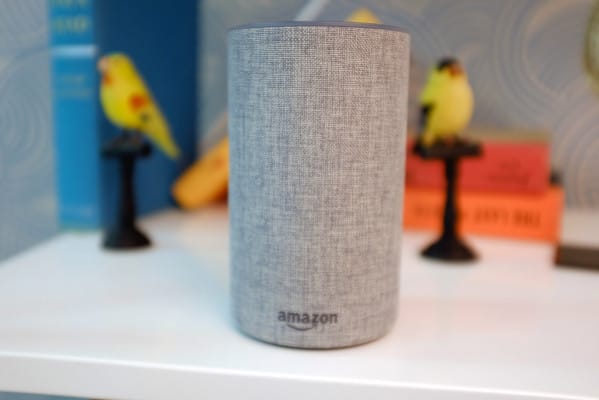Now you can use your Echo to call the kids for dinner