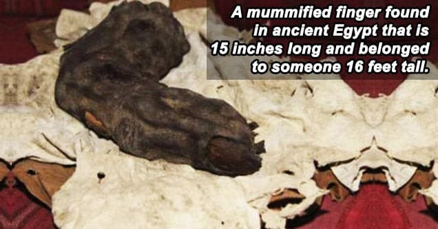 16 Scary Photos That Are Real