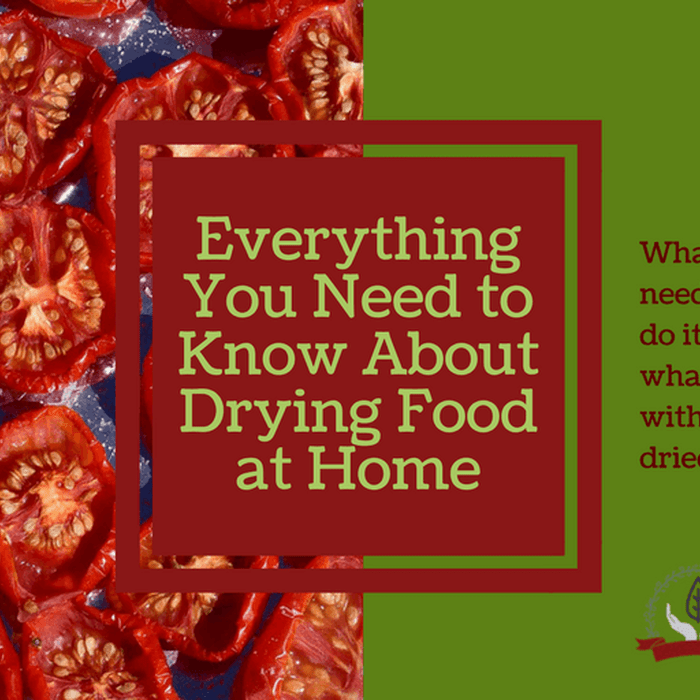 Drying food at home - why, how and what to dry!