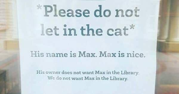 Max is nice...