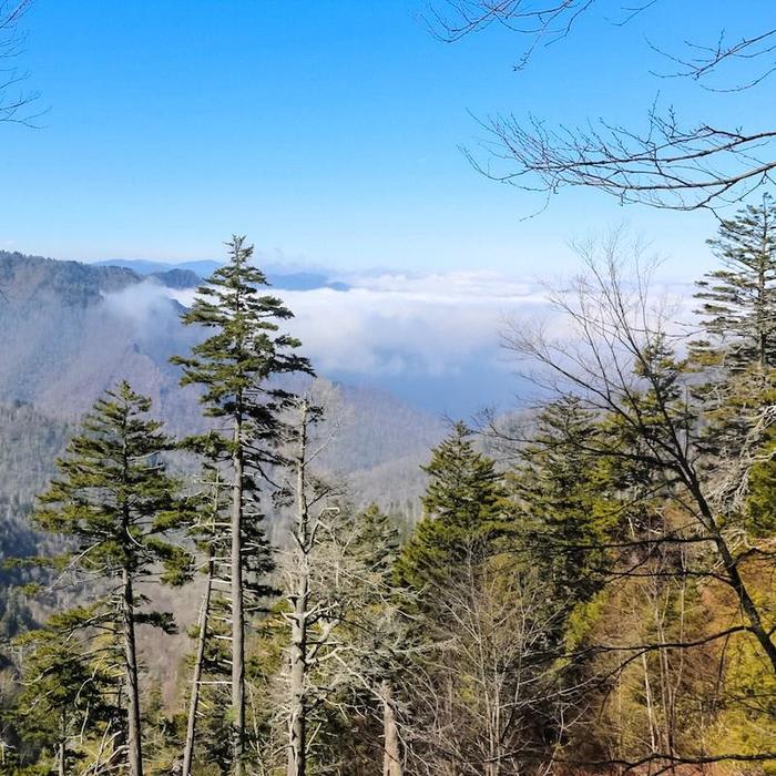 Guide to the Great Smoky Mountains National Park, US - Travel To Blank Walking Guide