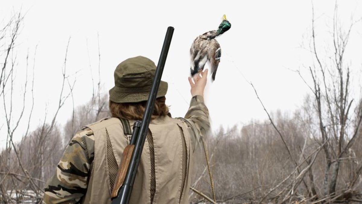 Ethical Hunter Throws Duck He Shot Back Into Sky