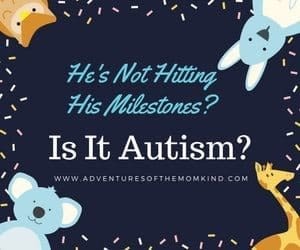 When your child isn't hitting their milestones is it Autism?