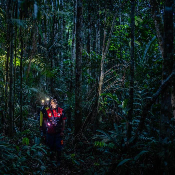 After Decades of War, This Jungle Is Now Open for Exploration