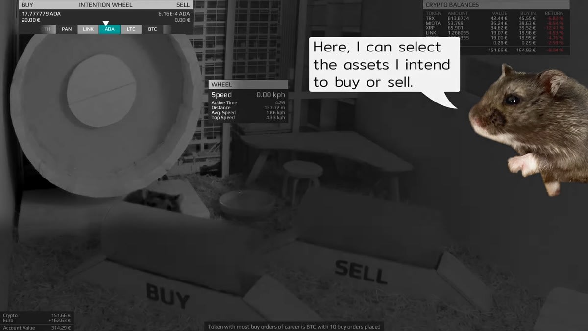 A Hamster on Twitch Is Trading Crypto and Beating the Stock Market