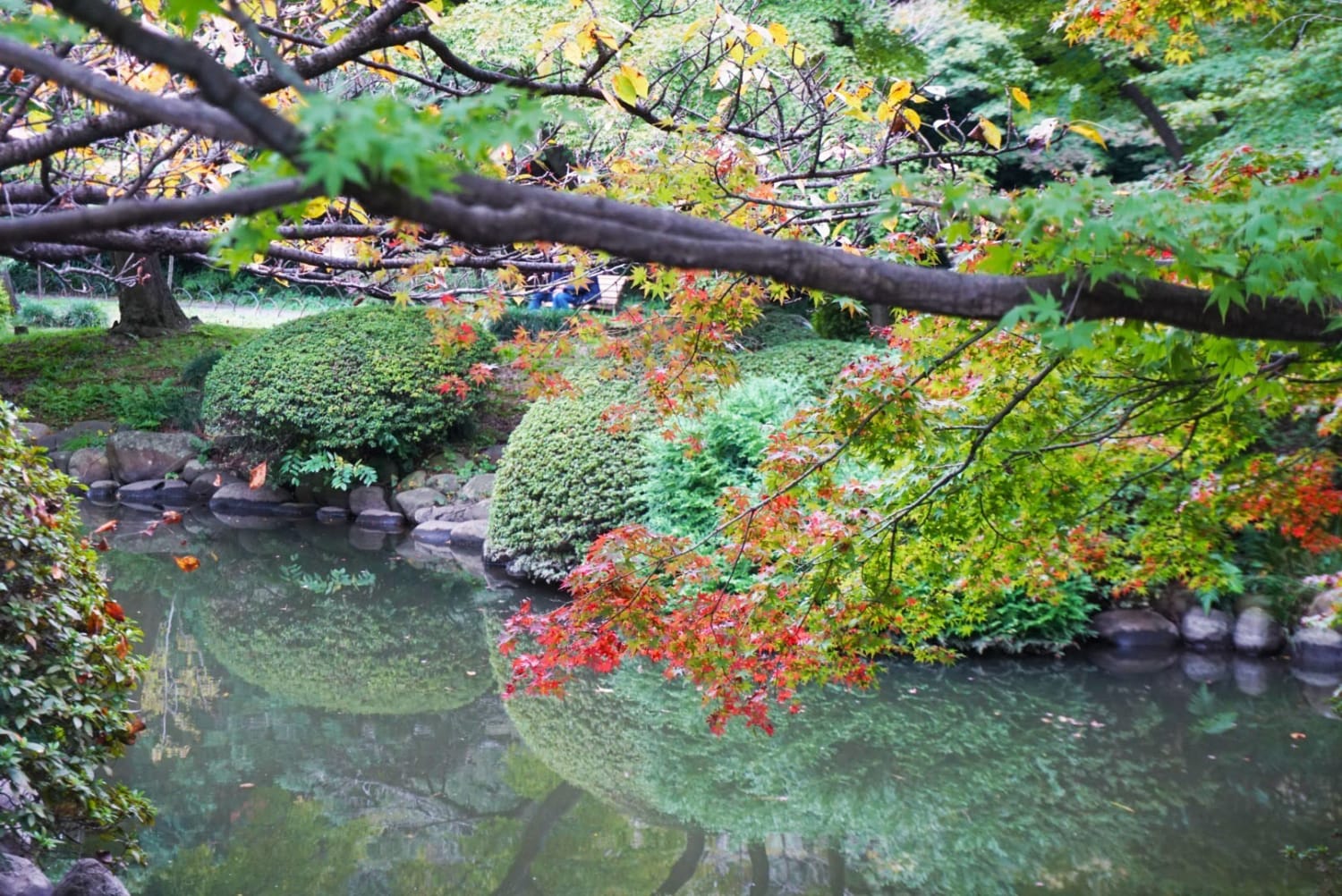 13 Reasons Why You Should Visit Japan in Autumn
