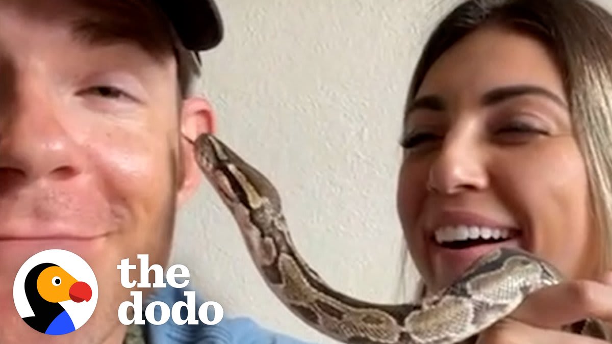 Couple finds an abandoned python at the park and gives her a bubble bath — watch her come to life 😍