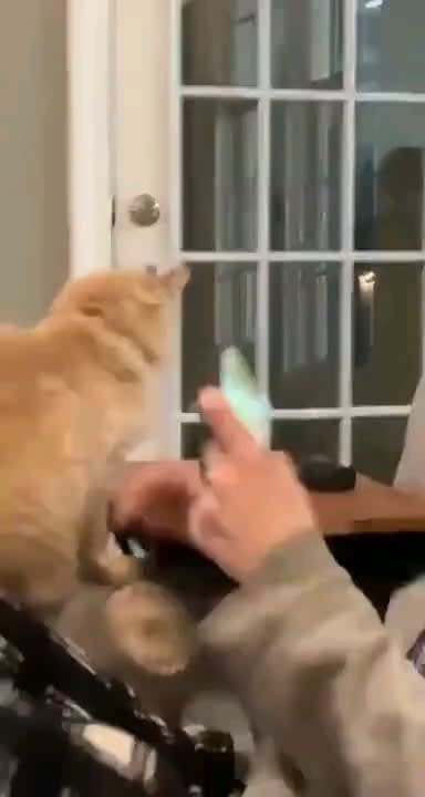 Stop staring at your phone