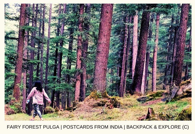 Fairy Forest of Pulga - Backpack & Explore