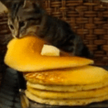 11 Cats That Gave Up On Their New Year's Resolutions Already