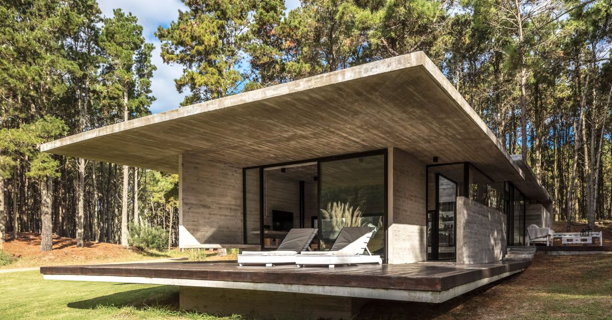 Cool concrete summer home sits among a sea of trees