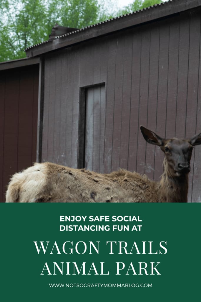 Wagon Trails Animal Park Is A Must Visit Attraction