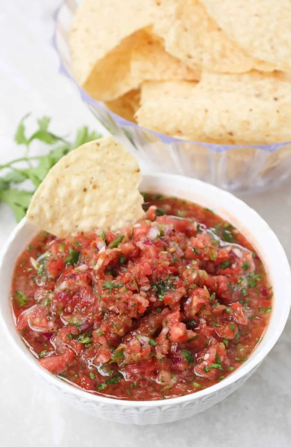 Homemade Quick and Easy Salsa