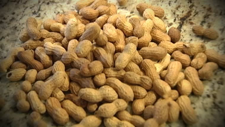 US Food and Drug Administration approves first peanut allergy....