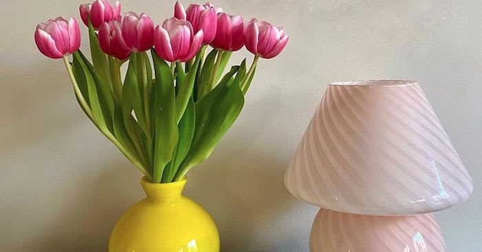 Instagram's #1 Home Décor Item and the $89 Dupe That's Just as Good