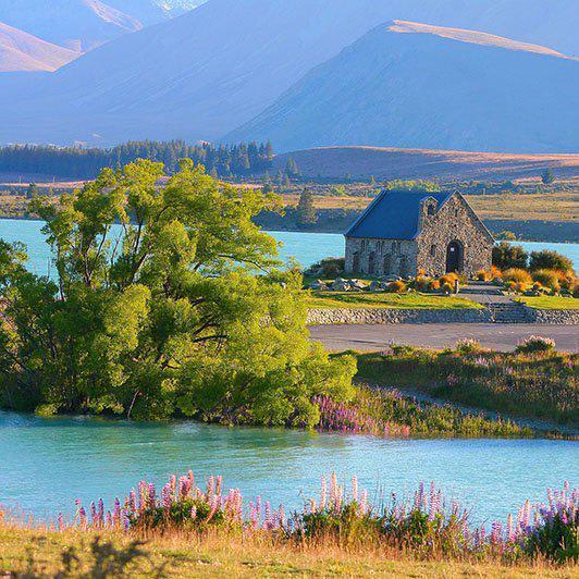 11 Things To Know Before Visiting New Zealand