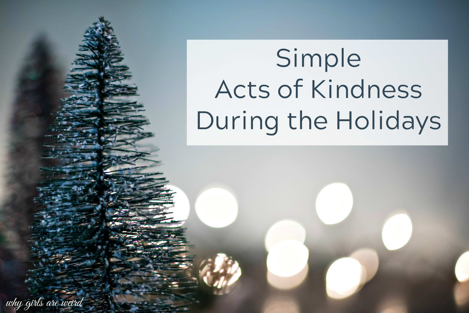Simple Acts of Kindness During the Holidays