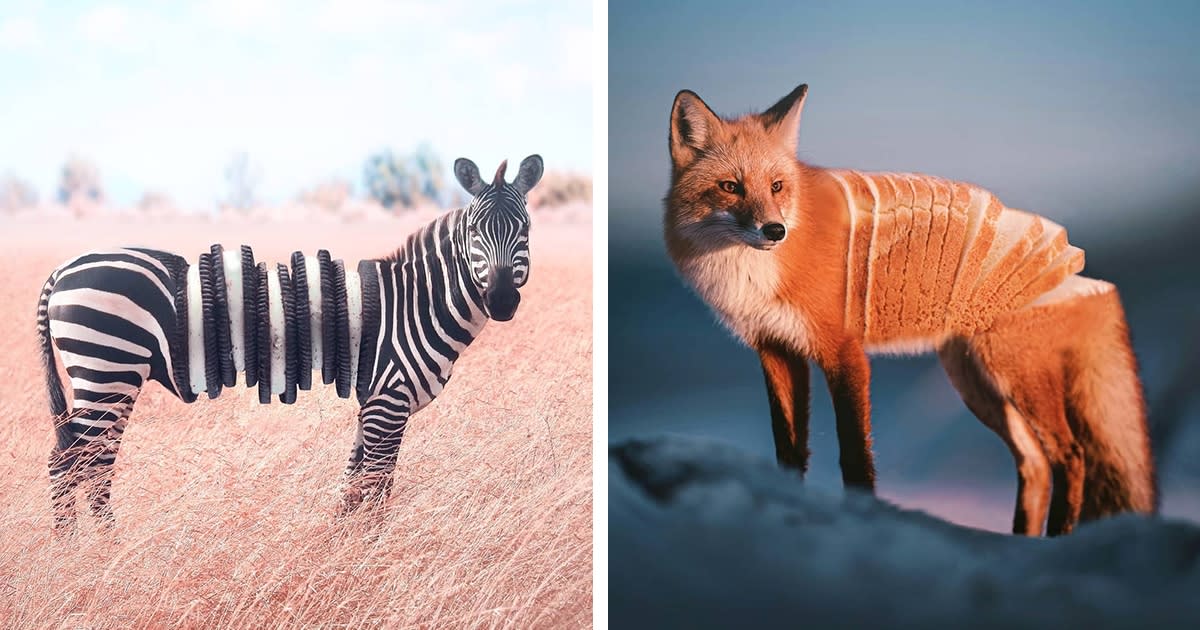 Surreal Photo Mash-Ups Cleverly Merge Animals with Food