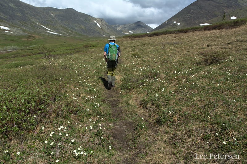 Alaska Spring 2020 - Hiking in the Year of COVID-19 - Lee Petersen