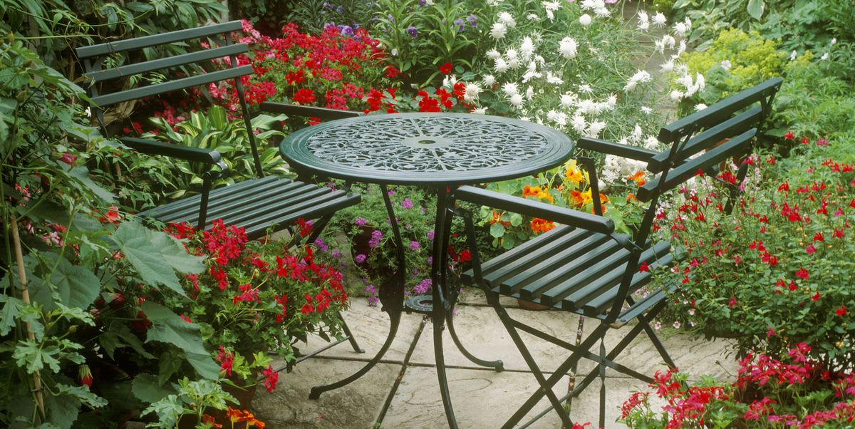 The Only Patio Plants You Need This Summer