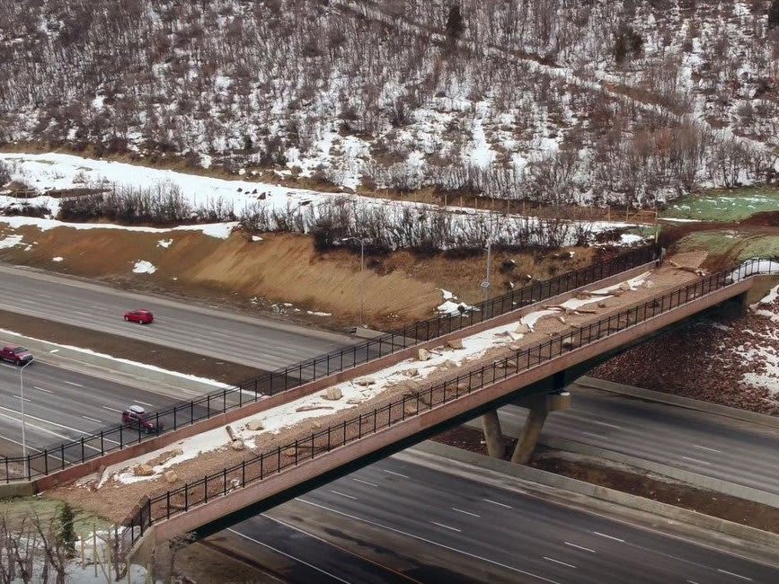Animals Are Using Utah's Largest Wildlife Overpass Earlier Than Expected