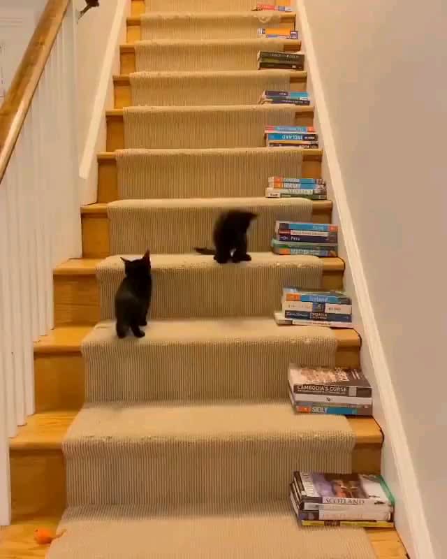 They are too small for stairs