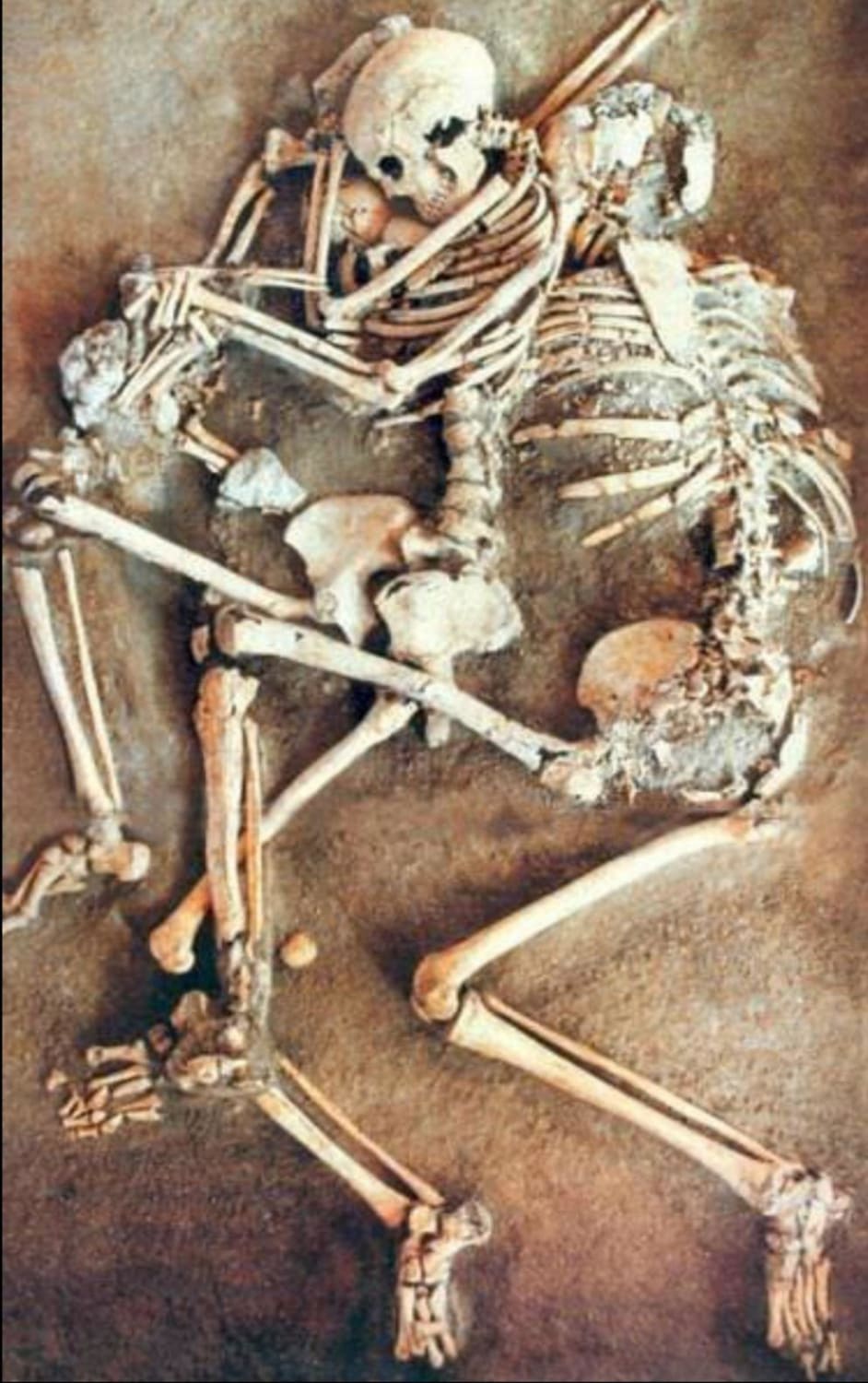 Eternally frozen in a protective embrace, the remains of an ancient family found in a Roman house in Kourion, which was destroyed in an earthquake in 365 CE. the skeletons found include a mother holding her child while the father tries to shield them both from collapsing walls