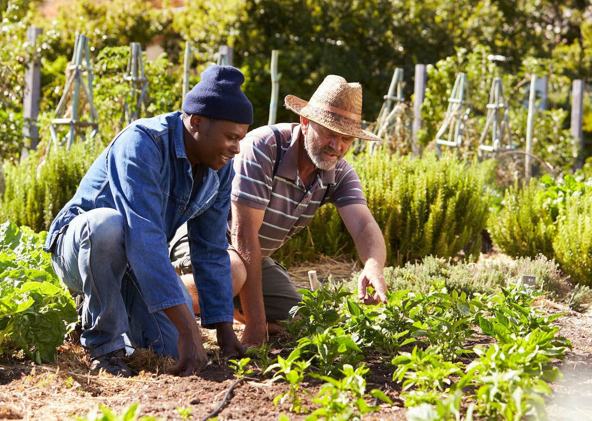 5 community gardens that are setting an example in the United States