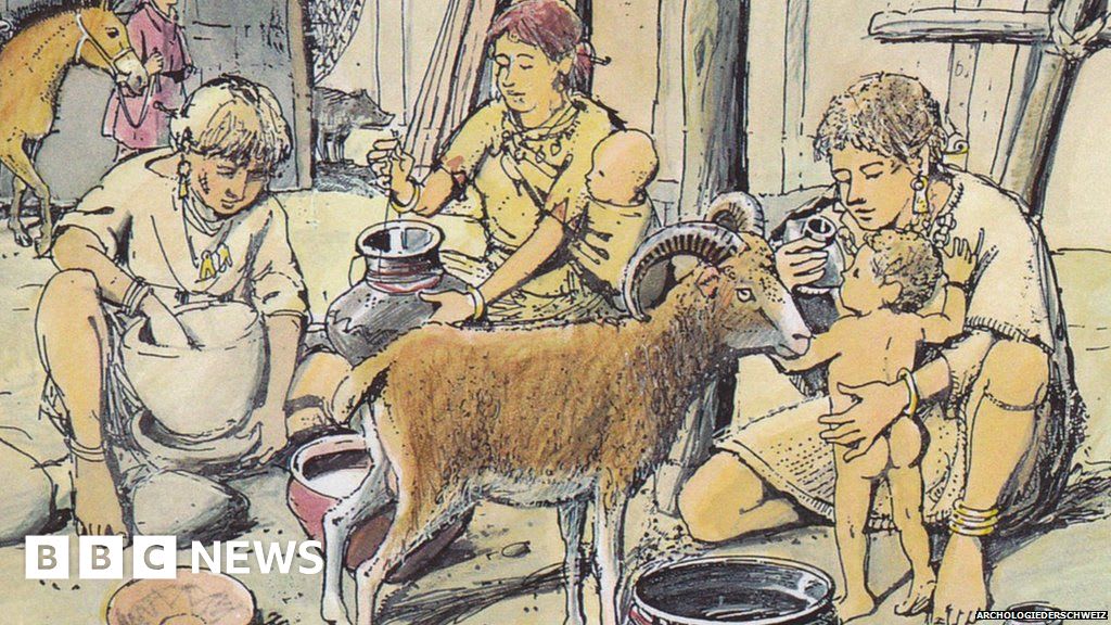 Prehistoric babies fed animal milk in bottles