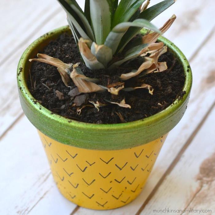 Painted Pineapple Planter - Three Little Ferns - Family Lifestyle Blog