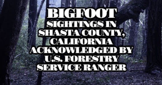 Bigfoot Sightings in Shasta County, California Acknowledged by U.S. Forestry Service Ranger