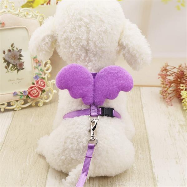 New Arrival! Angel Wings Cute Dog Collar For Small Dogs