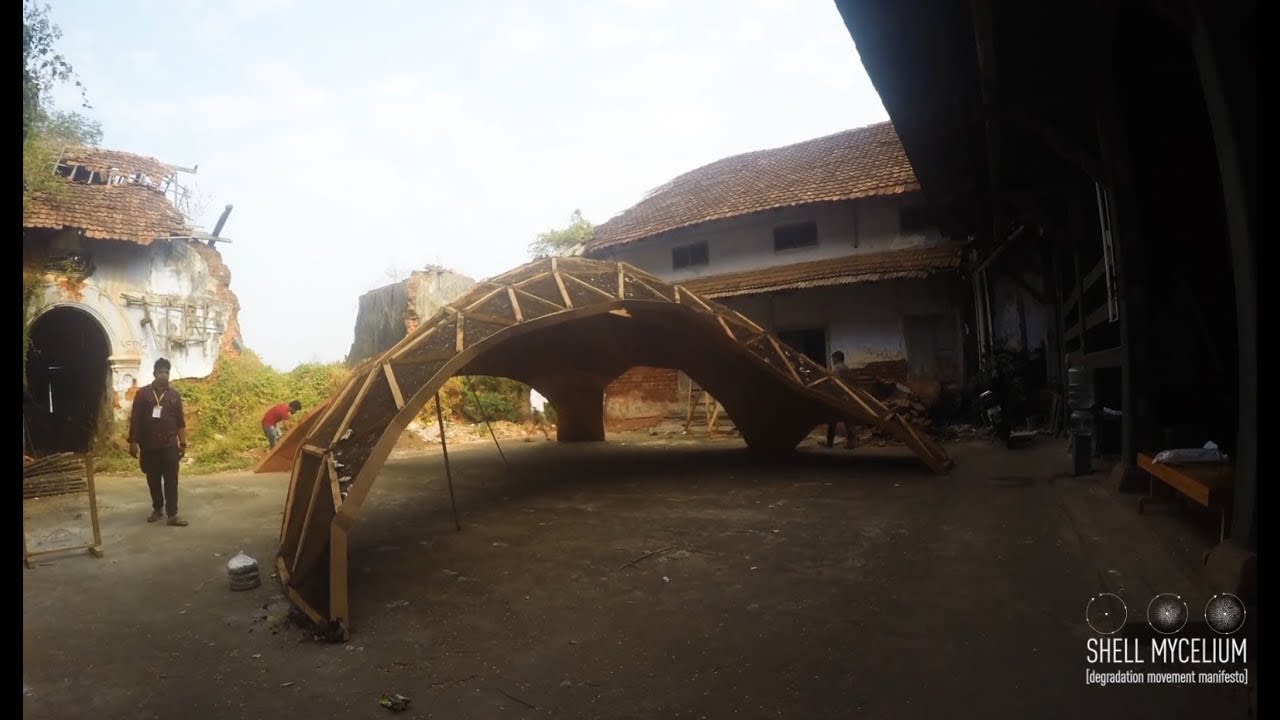 Fungus used to build arching pavilion in Kerala