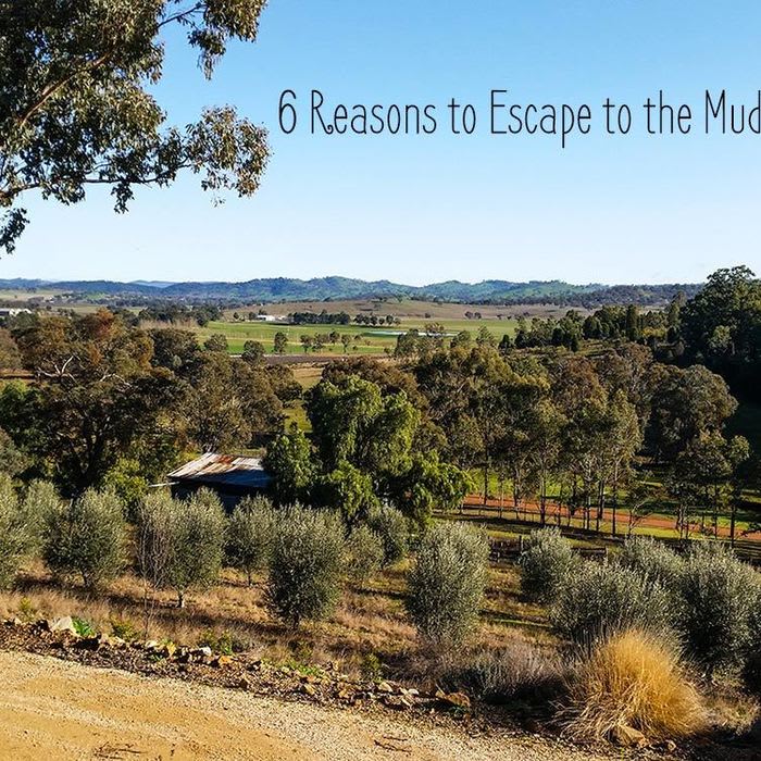 6 Reasons to Escape to the Mudgee Wineries