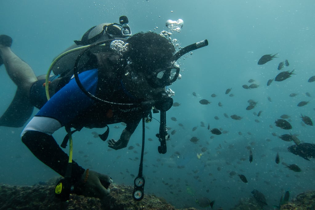 The SSI Open Water Diver Course: What to Expect