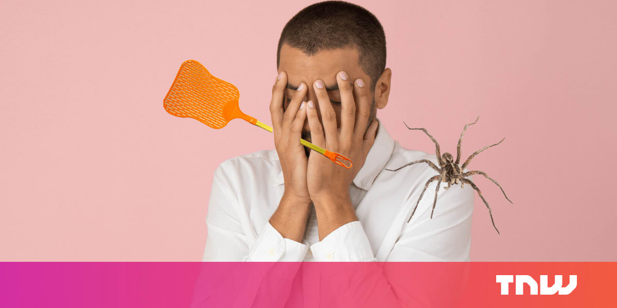 Science says you shouldn’t kill spiders in your home