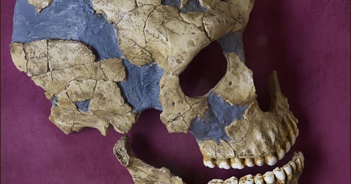 Everyone is a little Neanderthal, new study proves