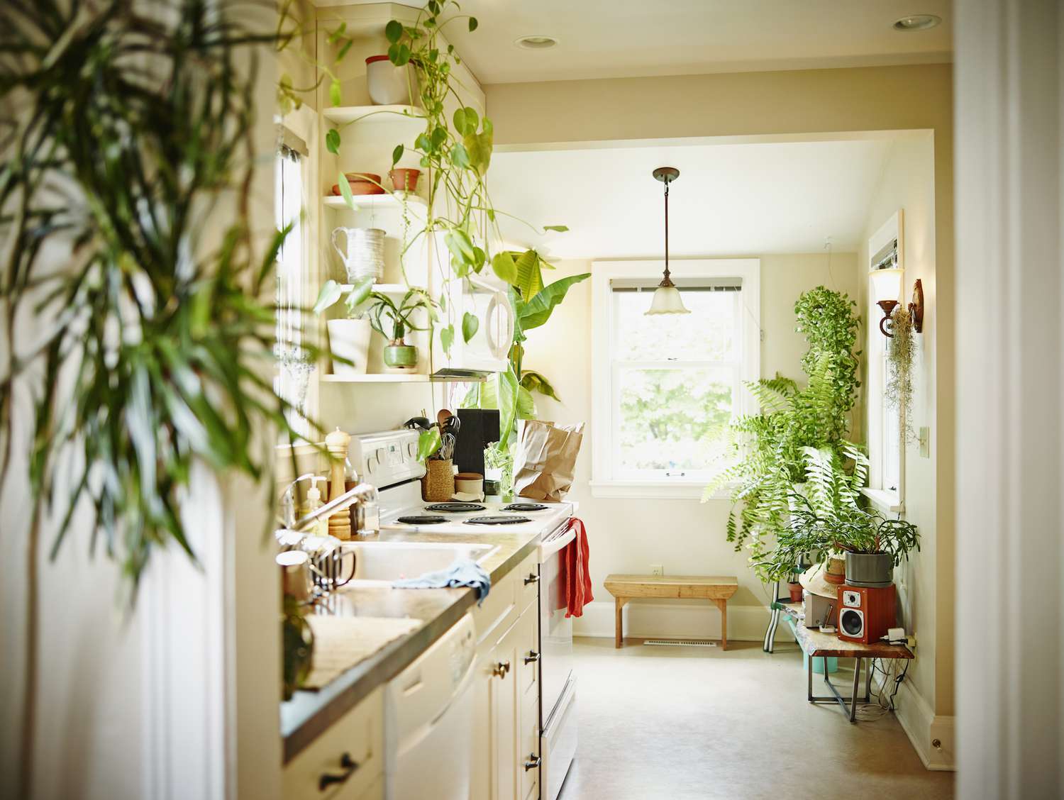 6 Ideas for Decorating With Houseplants