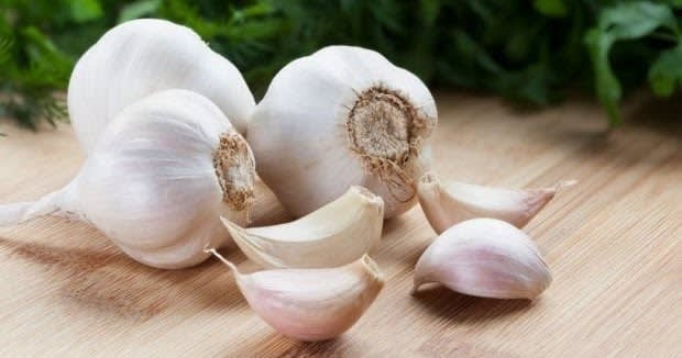 Benefits and Bad Effects of Eating Garlic