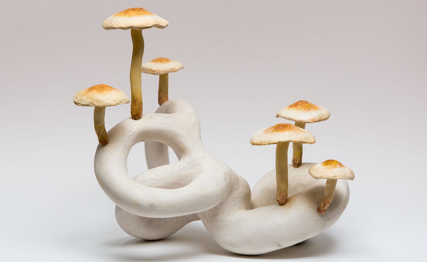Unpacking the magic of mushrooms and future of fungi