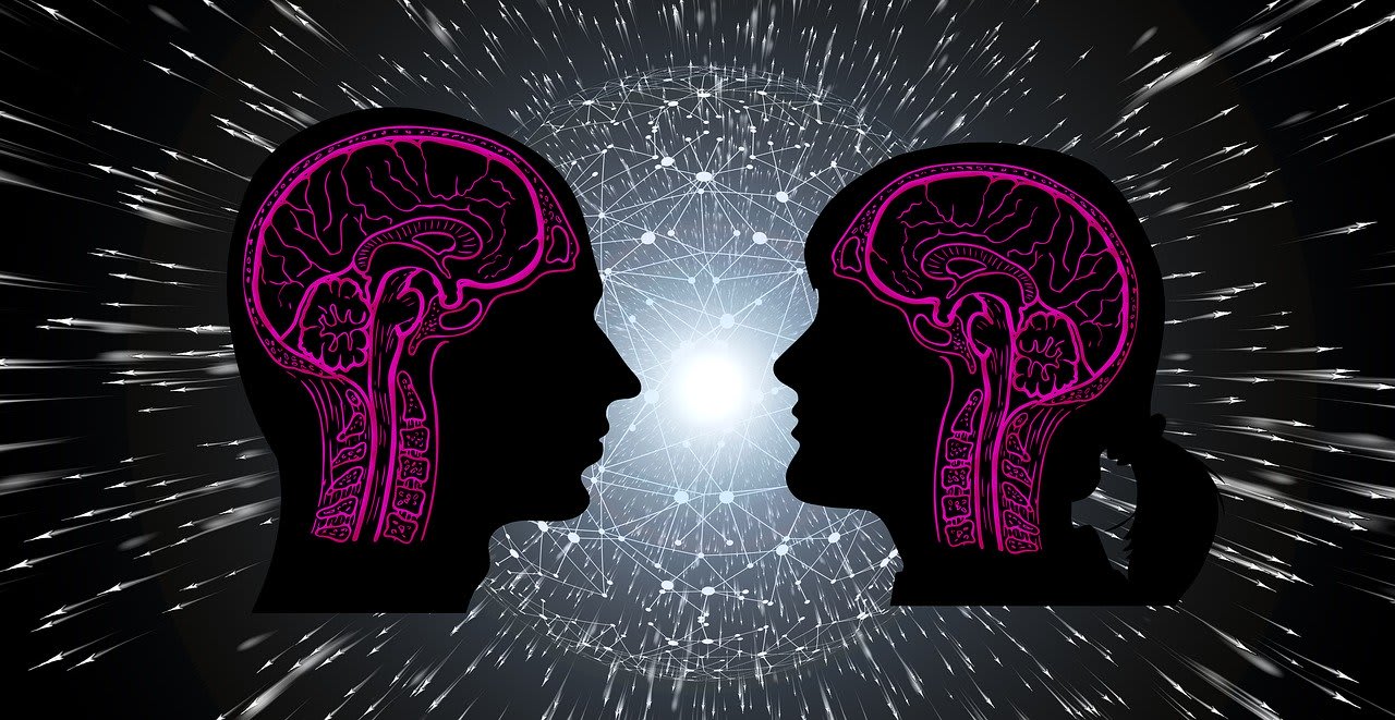 Scientists Found No Difference in Men and Women's Brains After 100 Years of Searching
