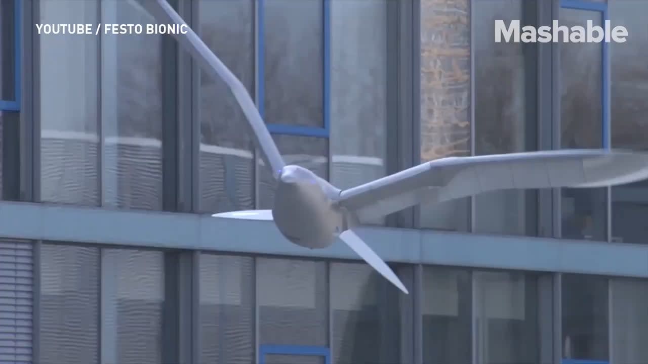 A robot bird that flies just like a real one