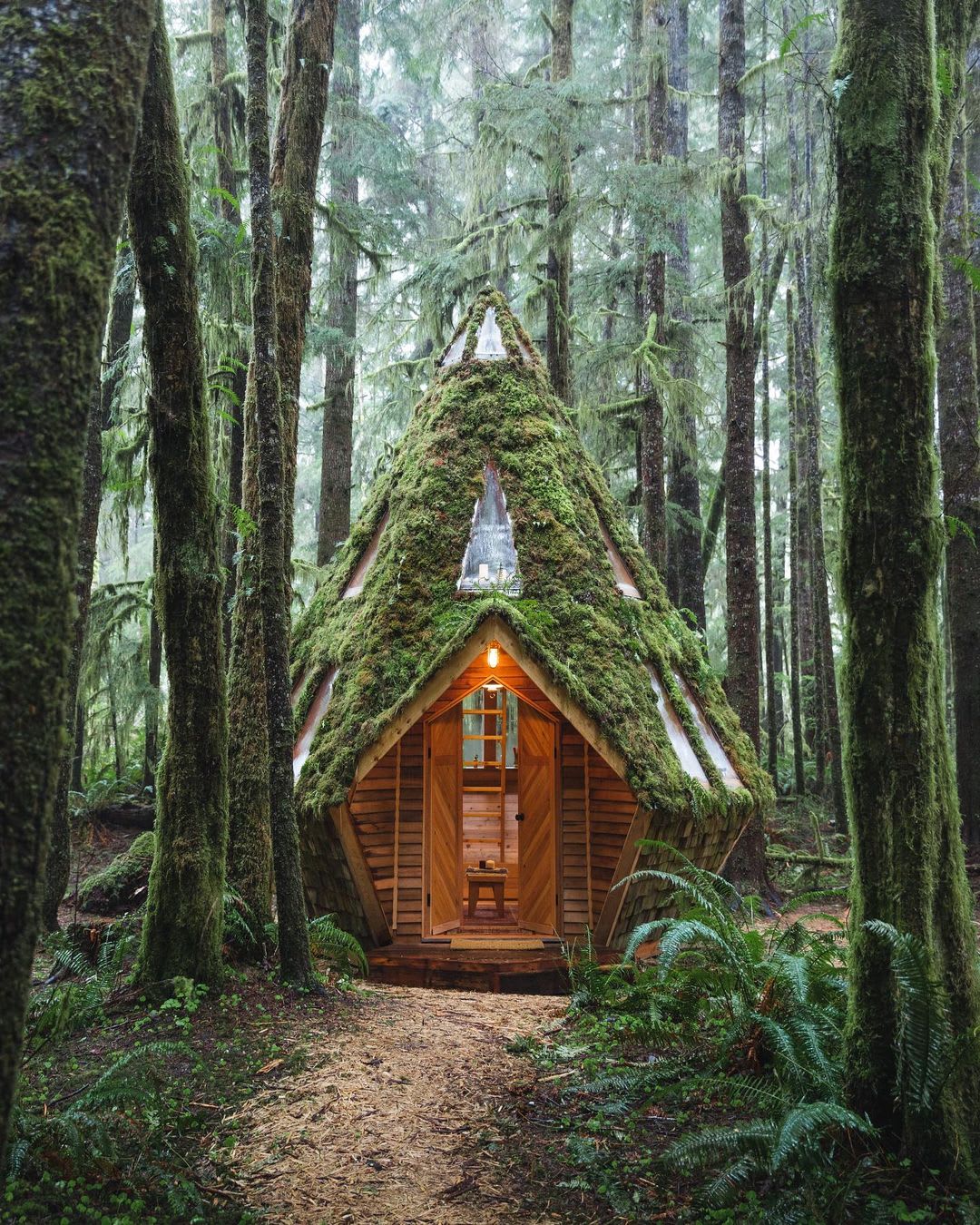 Octagonal cabin covered with moss in a Pacific Northwest rainforest somewhere in Washington.