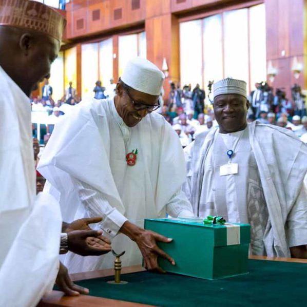 Opprobrious NASS And The 2019 Budget