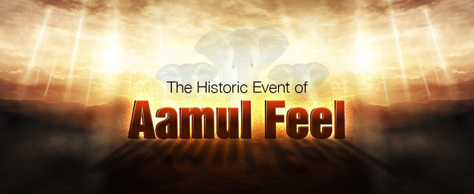 The Historic Event of Aamul Feel