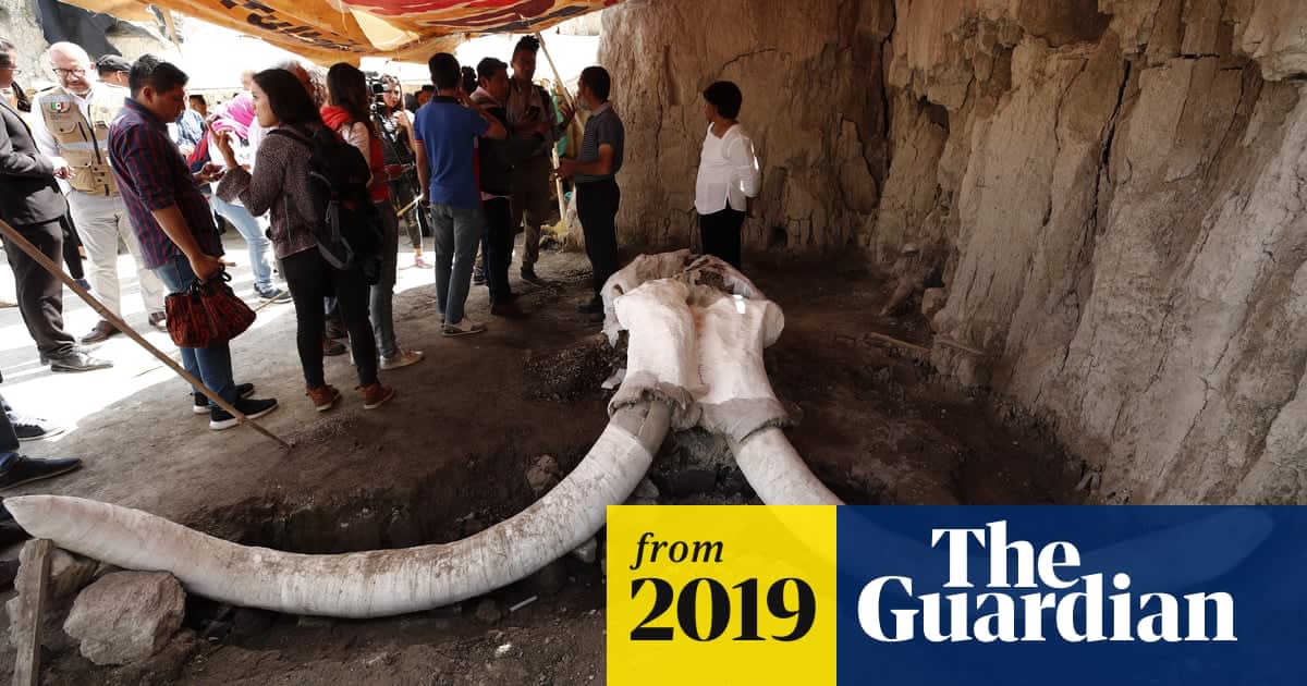 Mexican mammoth trap provides first evidence of prehistoric hunting pits