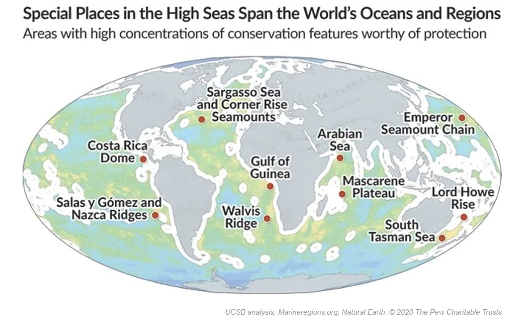 The top 10 ocean biodiversity hotspots to protect