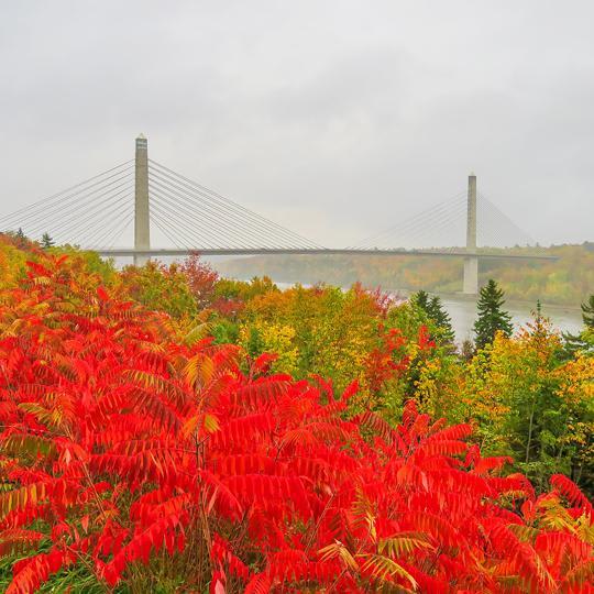 Maine in the Fall: Best Foliage Views + What to See and Do
